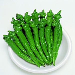 Pepper Sweet Fushimi- Asian Vegetable