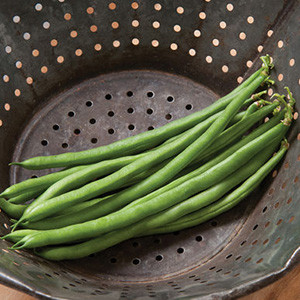 Organic Jade Bush Bean